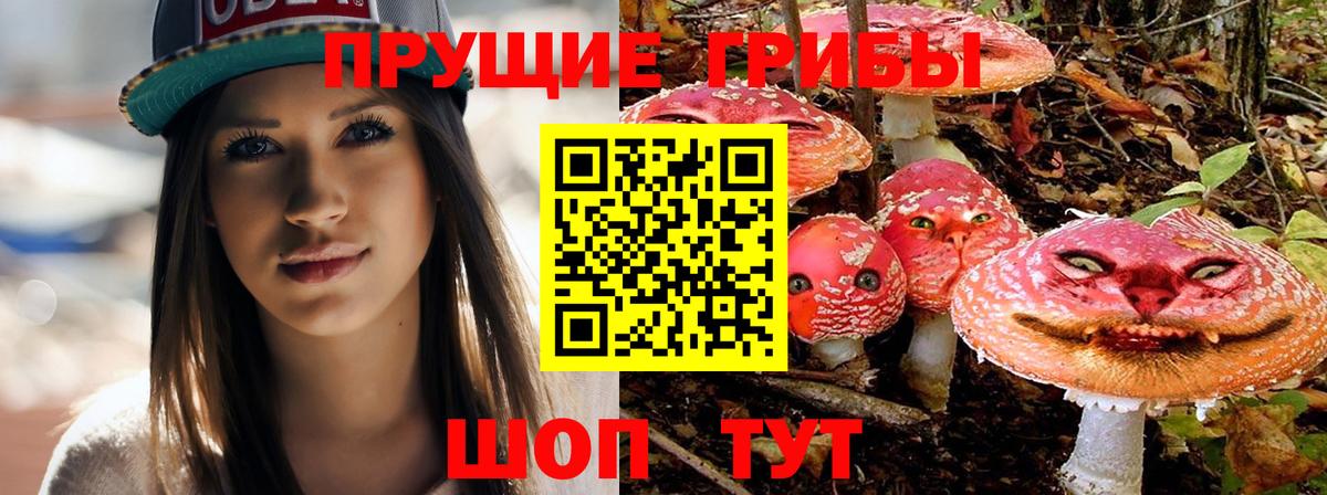 Галлюциногенные грибы прущие грибы  Вход с VPN  Первоуральск 