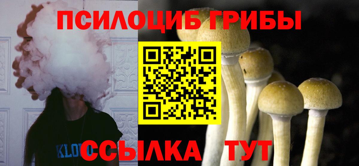 Псилоцибиновые грибы Psilocybe Первоуральск
